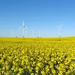 Baerenklau Сasa de vacaciones Neustadt in Holstein
