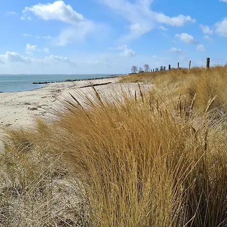 Baerenklau Neustadt in Holstein