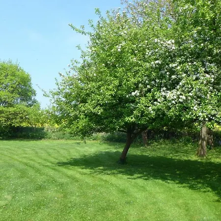 Baerenklau Dom wakacyjny Neustadt in Holstein