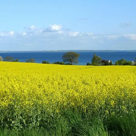 Dom wakacyjny Baerenklau *