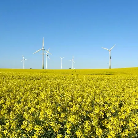 Baerenklau Dom wakacyjny Neustadt in Holstein