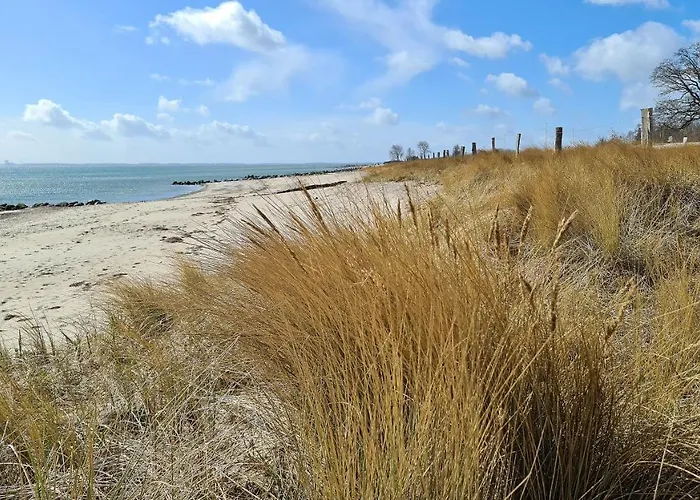 Baerenklau Neustadt in Holstein